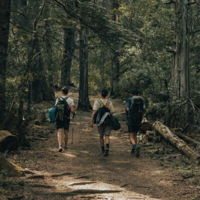 Group of hikers walking in forest